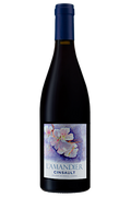 Domaine Des Homs - L'Amandier 2023